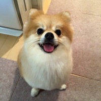 ジン