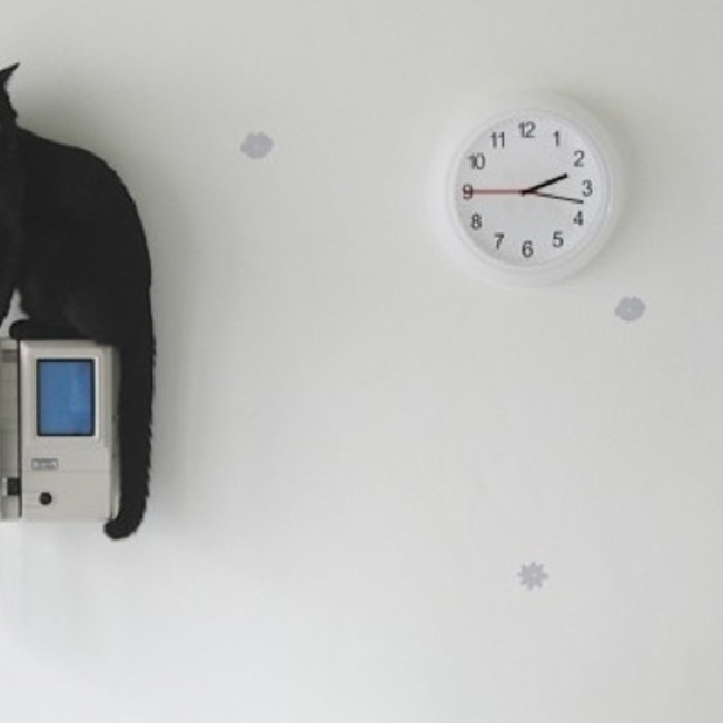 黒猫希望のカバー写真