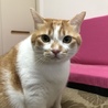 ふっつん