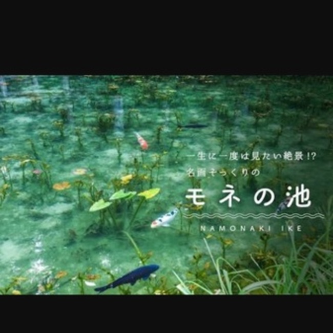 0あき0のカバー写真