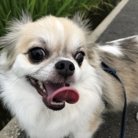 テン