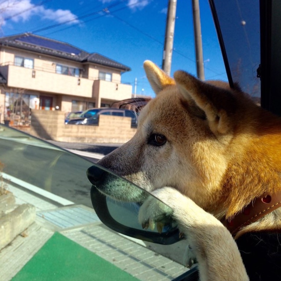 タクトのカバー写真