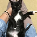 可愛いコロコロ兄妹(=^ェ^=)♡