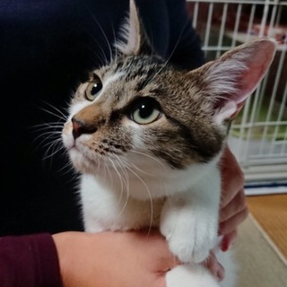 困るくらい超甘えたの兄弟なんですー(=^ェ^=)♡