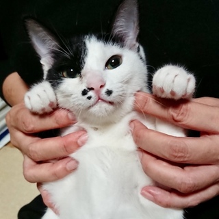 性格抜群とってもお利口さん(=^ェ^=)