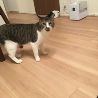 お結び