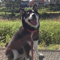 ジャッキー