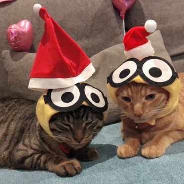 また… クリスマスバージョン