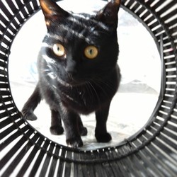 笑う門には福来る