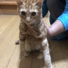 の写真