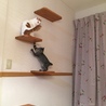 の写真