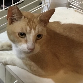 おうちが決まりました！