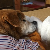 ボス