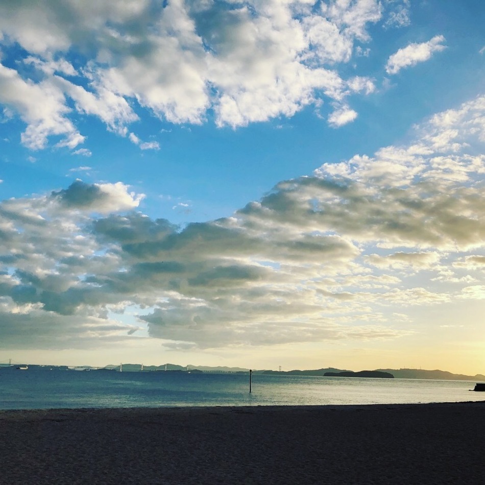 ライムのカバー写真