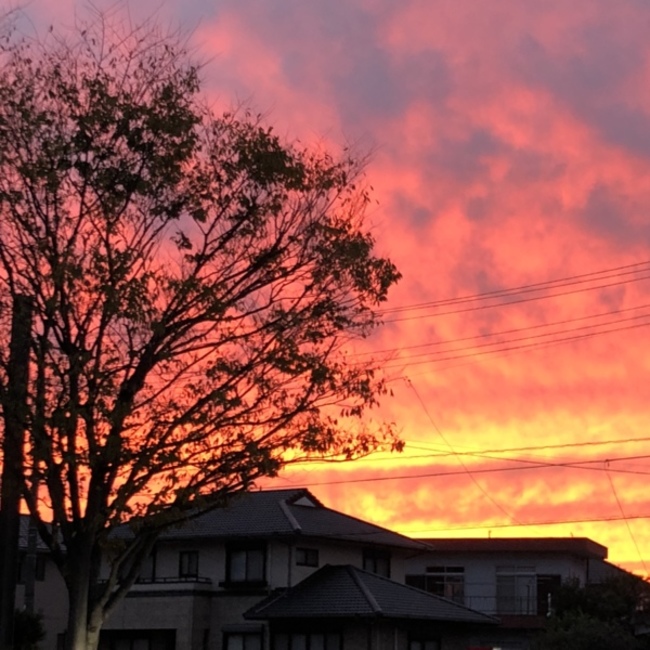 emi-nekoのカバー写真