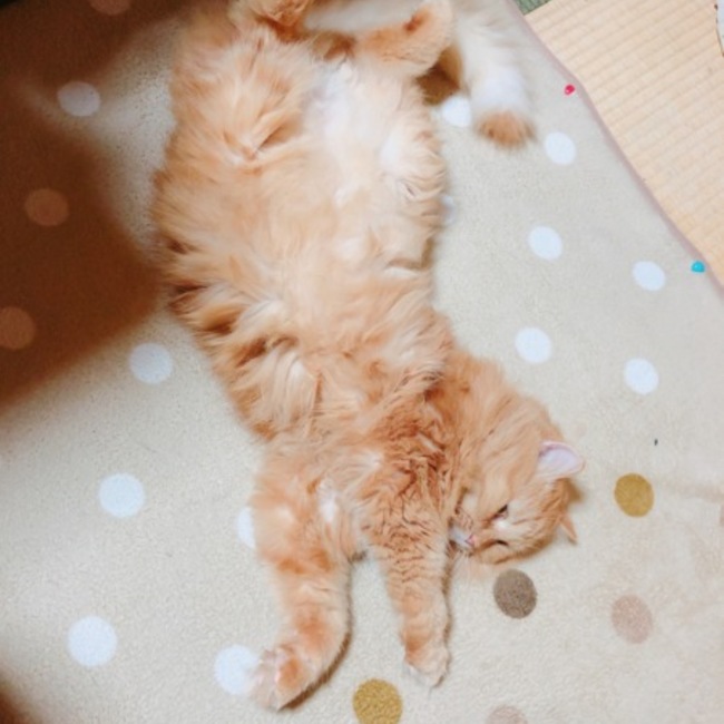 wata0099のカバー写真