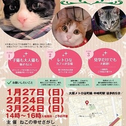 古民家カフェで『ねこの幸せさがし』譲渡会