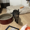 里親募集