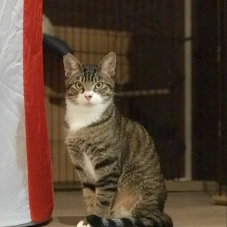 悪顔好きにはたまらない3兄弟の末っ子【所沢】