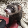 りょうたろうー