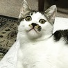 の写真