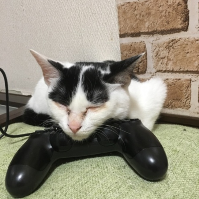 つぐえのカバー写真