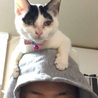 ツナ