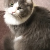 何かを訴えている