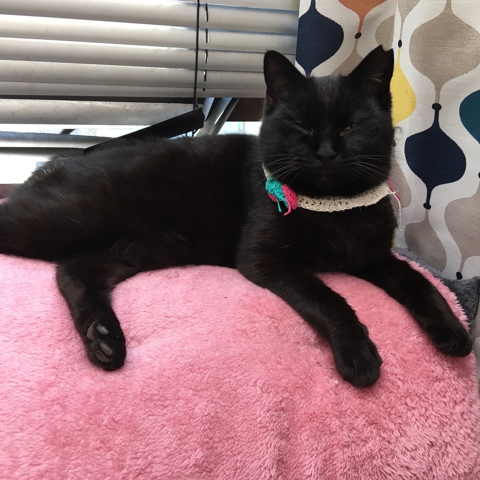 槇野クロンのカバー写真