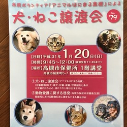 アニマルはにまる高槻による犬・猫譲渡会