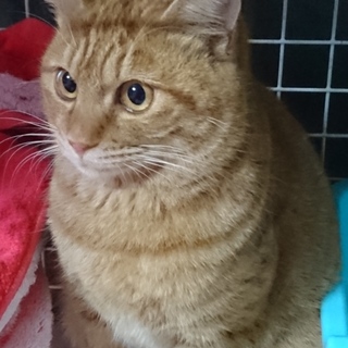 ありがとうございました。