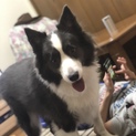 苦渋の決断です
