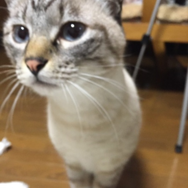 マツフジのカバー写真