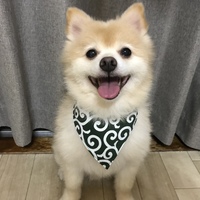 鈴木ポテト