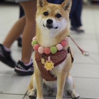 長谷川むぎ