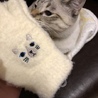 むぎ