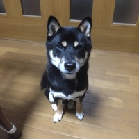 てつ