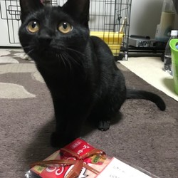 「わたしのしあわせ」サムネイル1