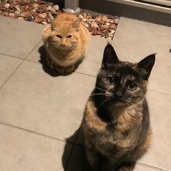 「わたしのしあわせ」サムネイル2