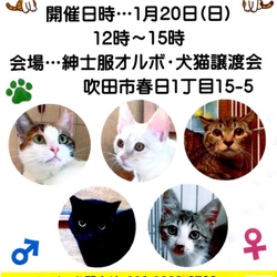 みるくの会里親会