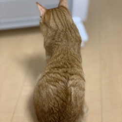 仲良し