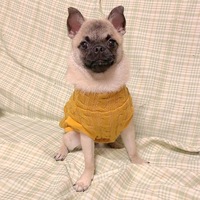 信玄