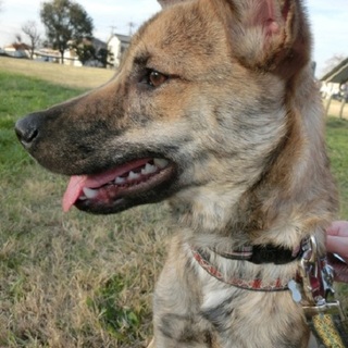 天真爛漫、陽気で愛嬌たっぷり♪ ウリンちゃん