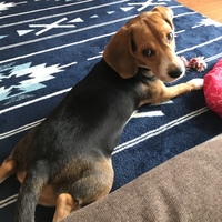 ラスク