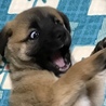 の写真