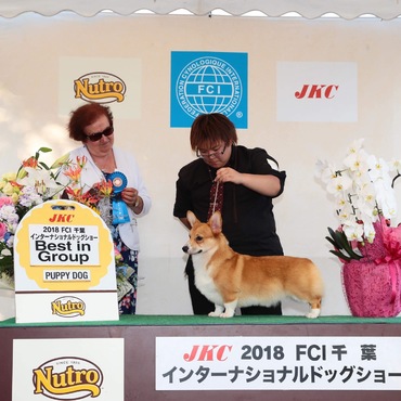の写真