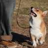 の写真
