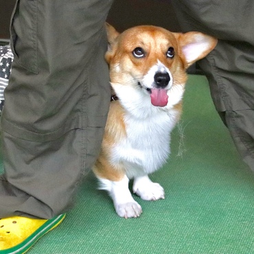の写真