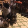 実家