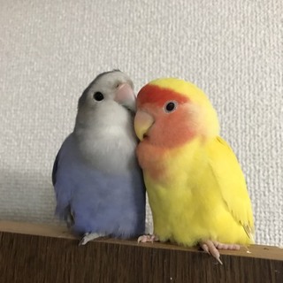 良い方にお迎えしていただきました。